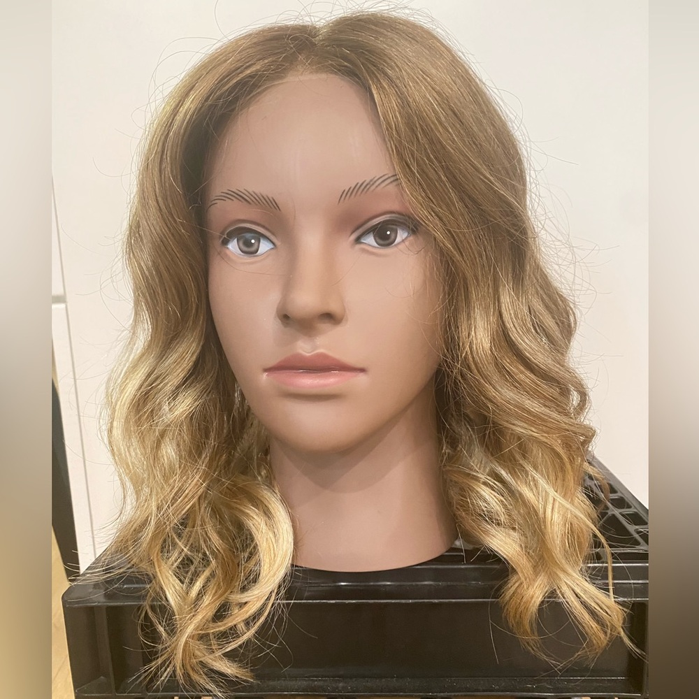 Jon Renau Mila Wig like new tried on only